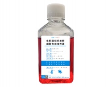 原代细胞专用培养基