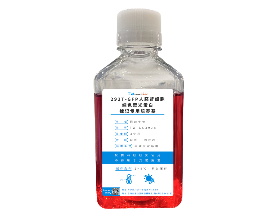 LUC细胞专用培养基
