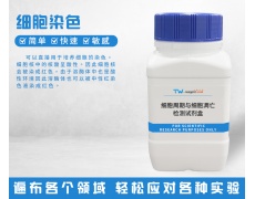 细胞染色
