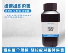 结缔组织染色