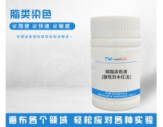 脂类染色