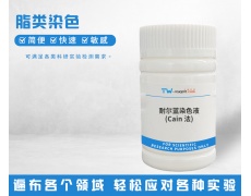 脂类染色