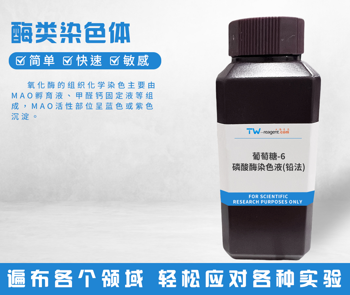 酶类染色