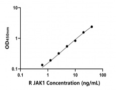 大鼠 Elisa试剂盒