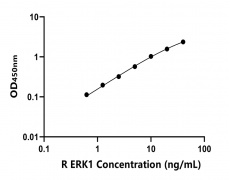 大鼠 Elisa试剂盒