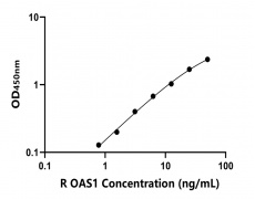 大鼠 Elisa试剂盒