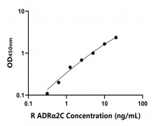 大鼠 Elisa试剂盒