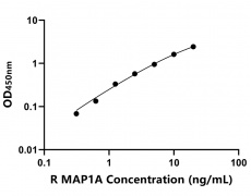 大鼠 Elisa试剂盒