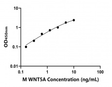 小鼠 Elisa试剂盒