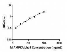 小鼠 Elisa试剂盒