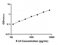 大鼠 Elisa试剂盒