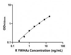 大鼠 Elisa试剂盒