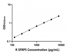 大鼠 Elisa试剂盒