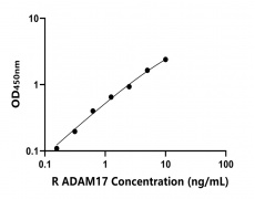 大鼠 Elisa试剂盒
