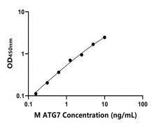 小鼠 Elisa试剂盒