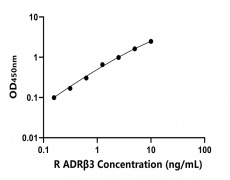 大鼠 Elisa试剂盒