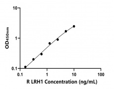 大鼠 Elisa试剂盒