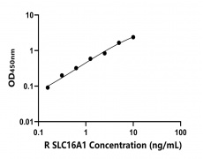 大鼠 Elisa试剂盒