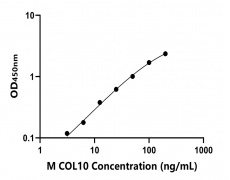 小鼠 Elisa试剂盒