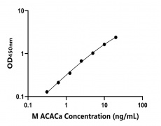 小鼠 Elisa试剂盒