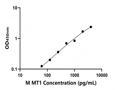 小鼠 Elisa试剂盒