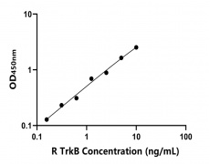 大鼠 Elisa试剂盒