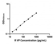 大鼠 Elisa试剂盒