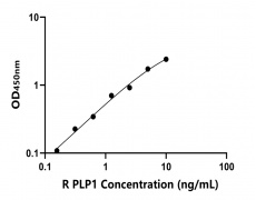 大鼠 Elisa试剂盒