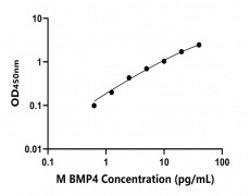 小鼠 Elisa试剂盒