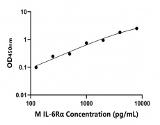 小鼠 Elisa试剂盒