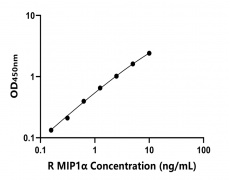 大鼠 Elisa试剂盒