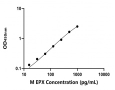 小鼠 Elisa试剂盒