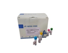 探针法qPCR试剂盒