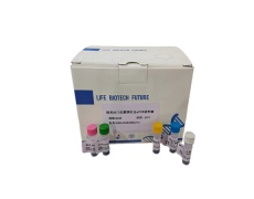 探针法qPCR试剂盒