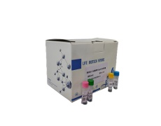 副流感嗜血杆菌探针法qPCR试剂盒