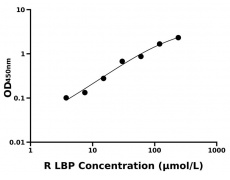 大鼠 Elisa试剂盒