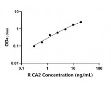 大鼠 Elisa试剂盒