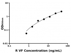 大鼠 Elisa试剂盒