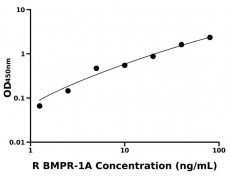 大鼠 Elisa试剂盒