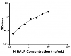 小鼠 Elisa试剂盒