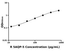 大鼠 Elisa试剂盒