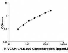 大鼠 Elisa试剂盒