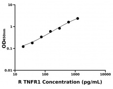 大鼠 Elisa试剂盒