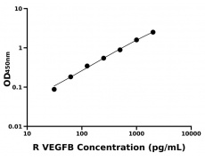 大鼠 Elisa试剂盒
