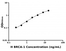 人乳腺癌易感蛋白1(BRCA-1)ELISA试剂盒