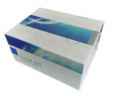 α-酮戊二酸(α-KG)含量检测试剂盒(紫外分光光度法/50T)