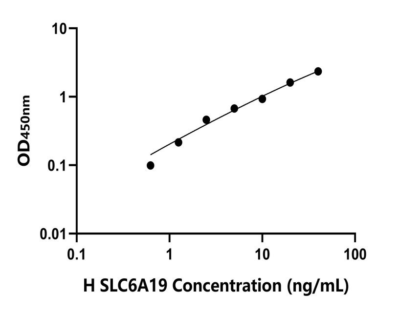 人(SLC6A19)检测试剂盒