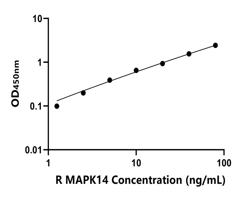 大鼠(MAPK14)ELISA试剂盒