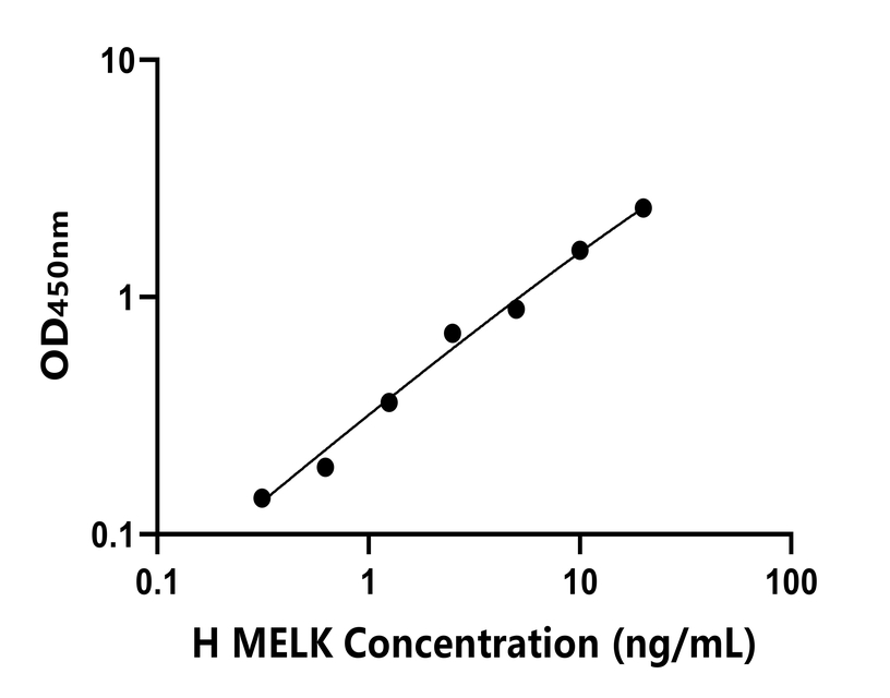 人(MELK)ELISA试剂盒