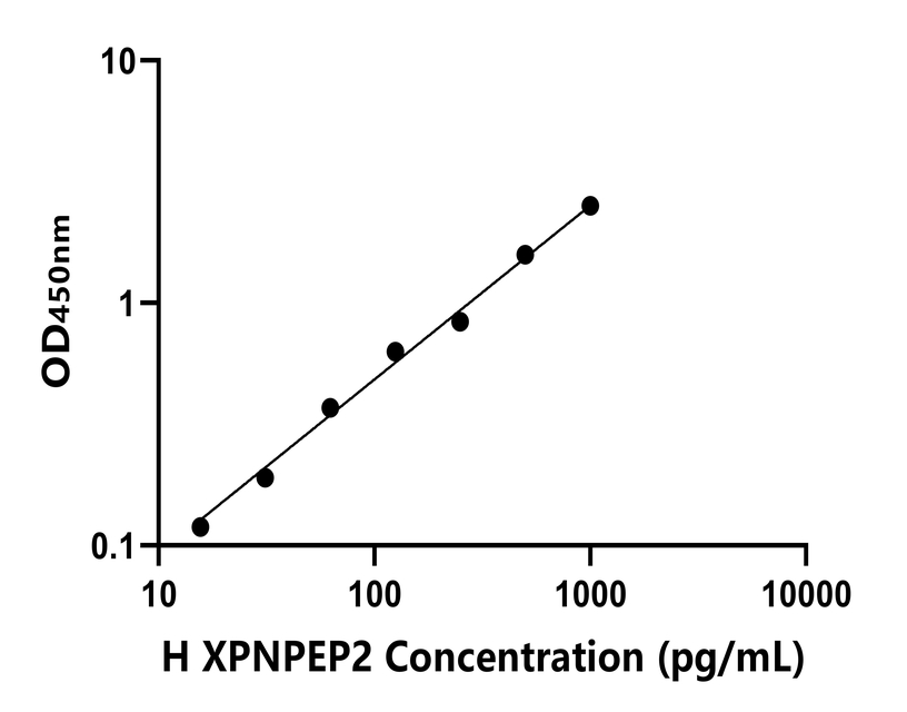 人(XPNPEP2)ELISA试剂盒